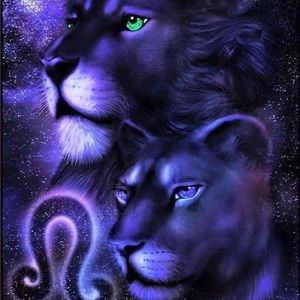 Meet your Posher, Lakeisha